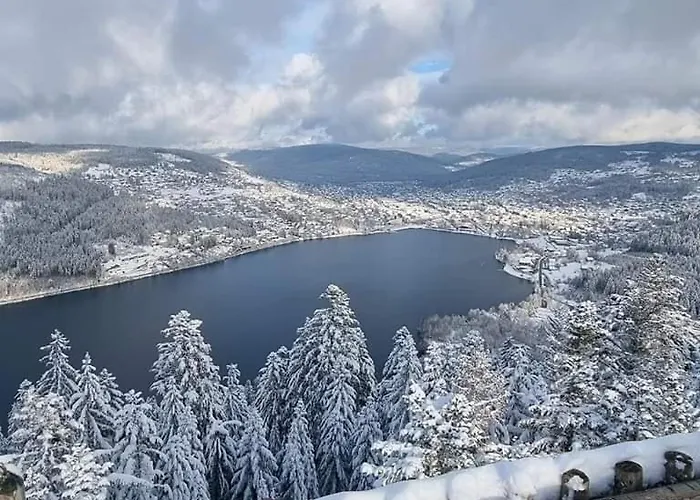 アパート Du Duplex Vue 180 Avec Piscine ジェラールメ